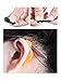 Hestya 12 Pieces Kids Silicone Eyeglass Strap with 12 Pairs Ear Grip Hooks Anti-slip Retainer Cord Holder for Glasses Sunglasses, 12 Colors