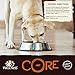 Wellness CORE 95% Natural Wet Grain Free Canned Dog Food, Beef & Carrots, 6-Ounce Can (Pack of 24)