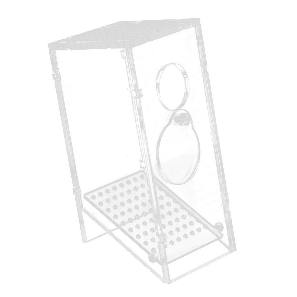 fish aquarium supplies