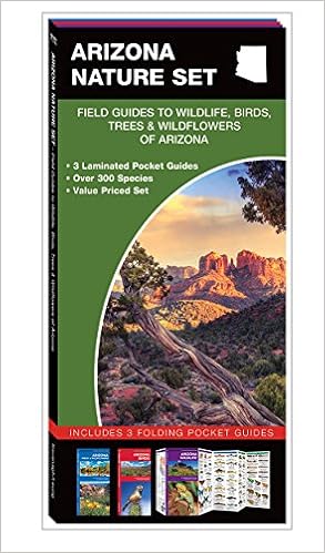 Arizona Nature Set Kavanagh James Waterford Press Leung Raymond 9781620051283 Amazon Com Books