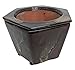 Self Watering Glazed Ceramic Pot - Brown - 6 3/8