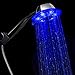 MD&MS Color Changing LED Light Shower Head with Crossed, Dispersed Running Water Function and Built-in Water Filter