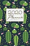 2020 Weekly And Monthly Planner: Calendar Schedule, Squares Quad Ruled Notes, Dot Notes, No Holiday by Patricia Planner