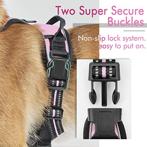 rabbitgoo Dog Harness,NoPull Pet Harness with 2 Leash Clips