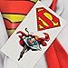 DC Comics Adult Superhero Costume T-Shirt Batman, The Flash, Superman and Wonder Woman
