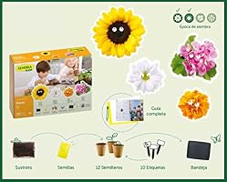 SEMBRA - juego educativo, Kit huerto Flores: Amazon.es: Jardín