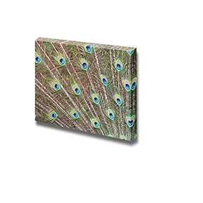 Peacock Feathers Wall Decor
