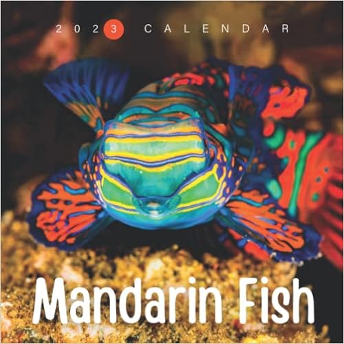 Fish Calendar 2023 Mandarin Fish Calendar: Beautiful 18-Month 2023 Calendar - Gift For Family,  Friends And Yourself - Thick Paper - Home & Office Organizer - Large  Monthly Grid For Note And Planning: Amazon.co.uk: Summer, Heaven:  9798801786506: Books