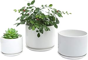 SanDope 6+5+4 inch Glazed Succulent Plant Pots - Cylindrical Ceramic Planters with Connected Saucer, Modern Ceramic Flower Planter, Pack 3 (White New)