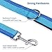 PETBABA Short Dog Leash, 2ft Heavy Duty Reflective Adjustable Strong Lead, Soft Padded Traffic Handle, for Walking Training Medium Large Dog That Pull - Blue