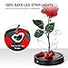 Glass Flower Galaxy Rose Gift for Women: Light Modes, USB Plug & Battery Powered Mother Birthday Thanksgiving Present Mom Her Wedding Anniversary Delivery Day Idea from Daughter