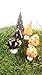 Fairy Garden Accessories. Miniature Halloween Mushrooms. Set of 6 Black and Orange Mushrooms.