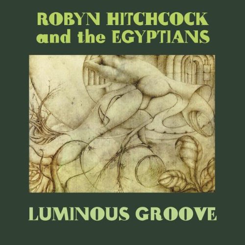 Robyn Hitchcock - Groovy Decay - Zortam Music