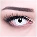 Women Multicolor Cute Charm and Attractive Fashion Eye Accessories Cosmetic Makeup Eye Shadow - White Halloween Carnival with Contact Lens Case By Biuti TM