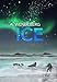 Ice: The Climate Fiction Saga (1/2986 Book 3)