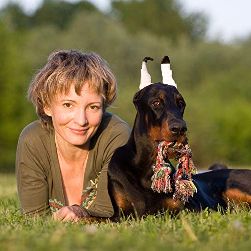 6 + 2 Stück Welpenspielzeug-Set, Kauspielzeug für Hunde, süßes Interaktives Kauen Seilspielzeug Zahn Sauberes Spielzeug mit Baumwolle und Gummi für kleine Hunde, waschbares Baumwollseil-Hundespielzeug
