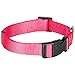 Blueberry Pet Essentials Medium Dog Collar | Neck 14.5