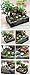 Atecy 100 Pcs Miniature Garden Ornaments Kit, DIY Fairy Garden Dollhouse Decor