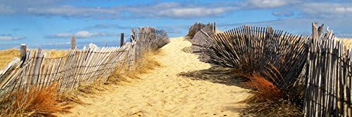 CANVAS Path To The Outer Beach Cape Cod 36x12 GICLEE Art Gallery Wrap by Joseph Condon