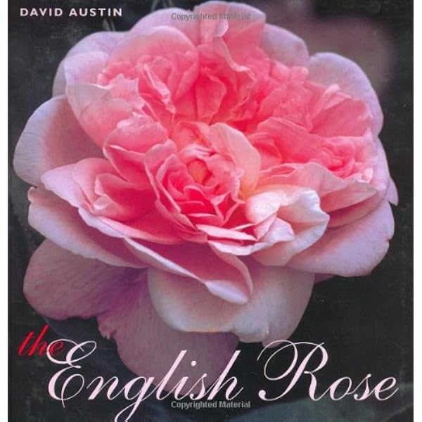 The English Roses: Classic Favorites and New Selections: Austin