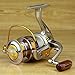 Fashion Outlet 10BB Ball Bearing Saltwater/Freshwater Fishing Spinning Reel 5.5:1