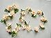 The Titus Shop 2 Pcs Flower Garland, Artificial Floral Garland, Fake Flower Garland, Fake Flower Vines, Cherry Blossom Flowers Vine, 6 Ft Fake Flowers Decoration, Artificial Spring Garland Decor.