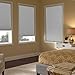 Set of 2- 9/16 in. Trimmable Cordless Cellular Room Darkening Window Shade, 36-Inches by 64-Inches