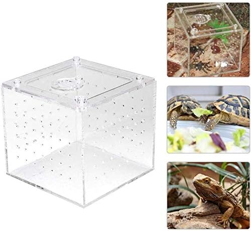 Transparent Acrylic Reptile Breeding Box, Live Food Storage Container, Insect Viewing Case for Spiders Crickets, Snails, 10x10x9cm