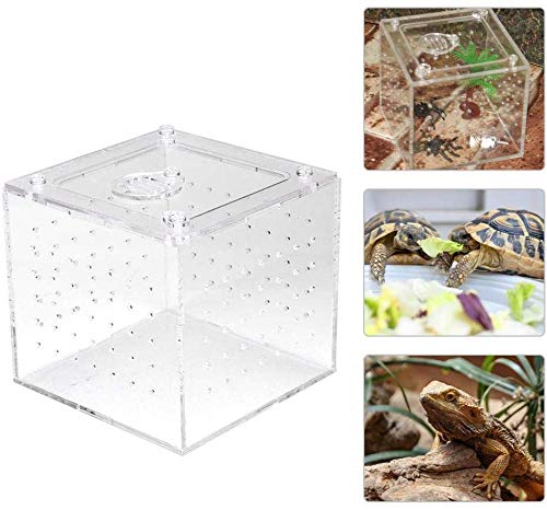Transparent Acrylic Reptile Breeding Box, Live Food Storage Container, Insect Viewing Case for Spiders, Crickets, Snails, 10x10x9cm
