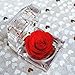 DeFancy Handmade Preserved Rose with Acrylic Crystal Ring Box for Proposal Engagement (Red)
