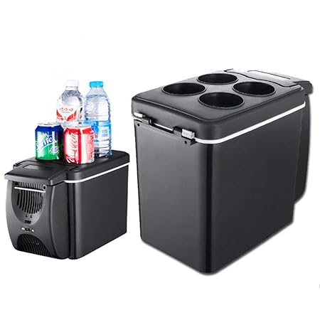 Family in Mini Nevera,6L Coche,Nevera portátil Mini Nevera, hogar ...