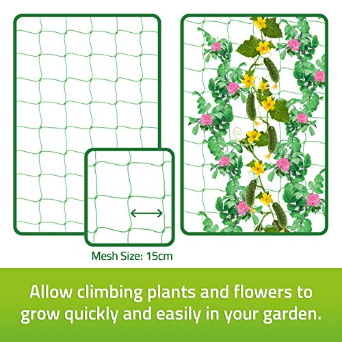DeBird Trellis Netting for Climbing Garden Plants, Easy to Install
