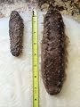 Sun Dried Wild Sea Cucumber, Isostichopus Badionotus 1 Pound