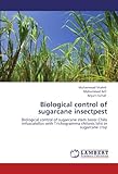 Image de Biological control of sugarcane insectpest: Biological control of sugarcane stem borer Chilo infuscatellus with Trichogramma chilonis Ishii in sugarca