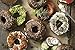 King Arthur, Everything Bagel Topping, Certified Kosher, 8 Ounces