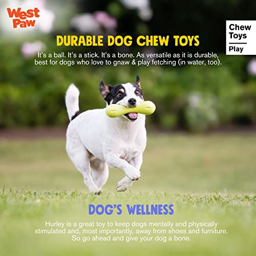 WEST PAW Zogoflex Hurley Dog Bone Chew Toy Floatable Pet Toys for