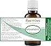 Spearmint Essential Oil 1 oz / 30 ml. 100% Pure Undiluted Therapeutic Grade for Aromatherapy Diffuser