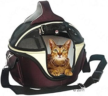 google drive ace ventura when nature calls