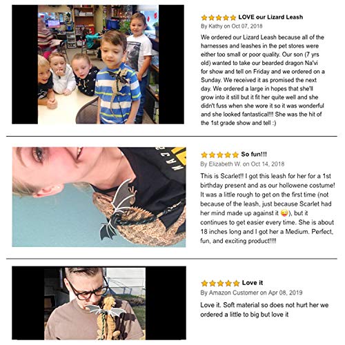 WATFOON Adjustable Bearded Dragon Lizard Comfort Leather Leash Harness with Cool Wings for Reptiles Amphibians Leopard Gecko Anole and Other Small Pet Animals (L, Blue)