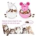 Slow Feed Cat Food Tumbler Pet Treat Ball Toy Feeder