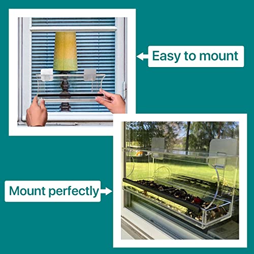 Window Bird Feeder with Removable Seed Tray and Super Strong Sticker
