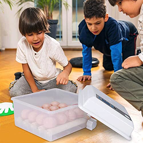 Inkubator Vollautomatisch Brutmaschine 16 Eier, Mit LED Temperaturanzeige Und Automatischer Eierbrutkasten, Für Hühner… – Bild 7