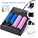 Universal Smart Battery Charger with LCD Display for Rechargeable Batteries Ni-MH Ni-Cd A AA AAA AAAA C F6 SC 18650 26650 14500 16340 18500 18350 RCR123 (4 Slots)(Without Batteries)