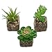 MyGift Set of 3 Decorative Mock Stone Ceramic Artificial Succulent Centerpiece Pots/Realistic Faux Plants