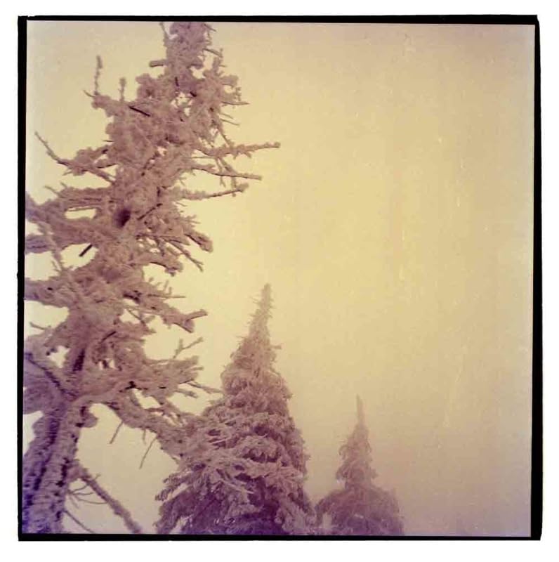 Voice of Source ' Eject series' framed photographs by Iulia Filipovscaia a contemporary artist founder of Voice of Source home decoration artwork photograph interior piece (4)