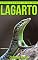 Livro Lagarto: Fotos Incríveis e Factos Divertidos sobre Lagarto para Crianças (Série Lembra-Te De Mim)