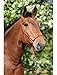 Rope Halters for Horses Training Soft - 11 Sizes - Miniature, Foal, Weanling, Small Pony, Cob/Arab, Horse, Warmblood, Draft