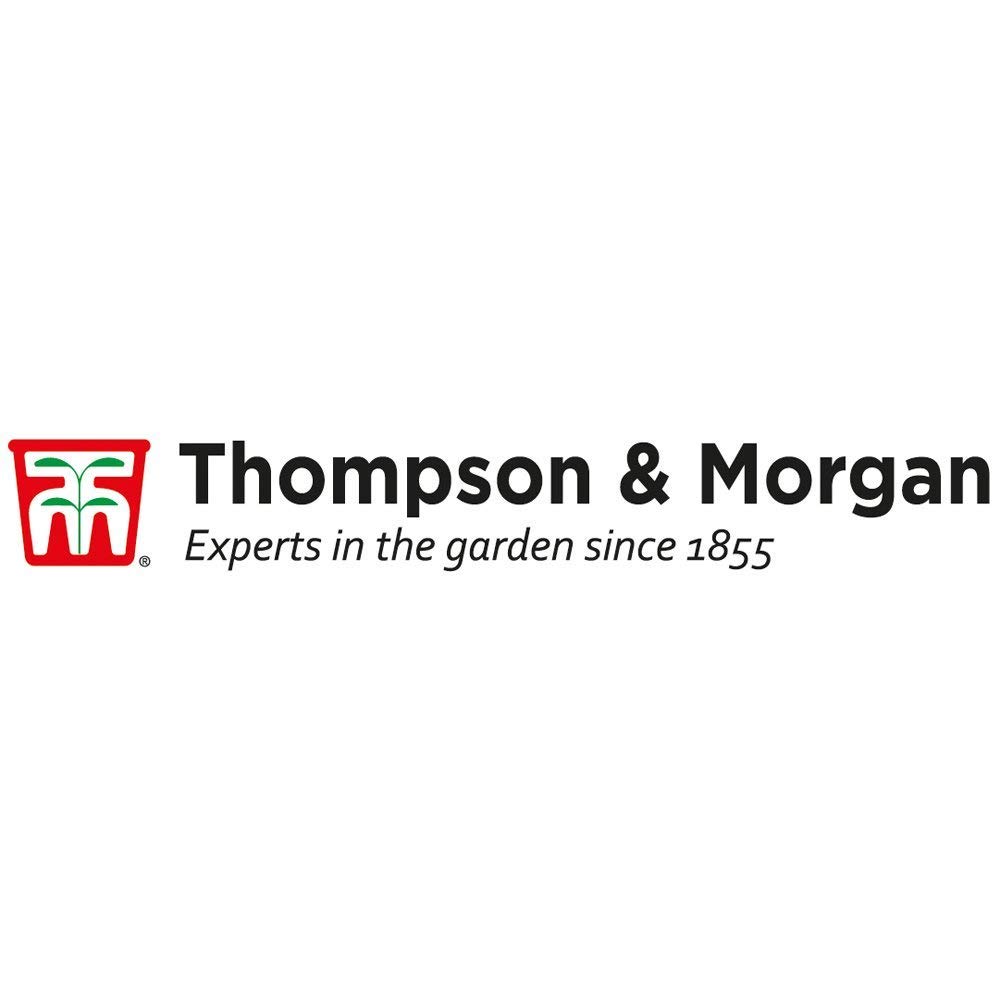 Thompson & Morgan Cultivo Kits Regalo Cajas - Gourmet Cocina ...