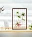 Mkono Large Air Plant Frame Hanging Airplant Holder Tillandsia Display Hanger Wooden Shelf Wall Decor for House Plants, Succulent, 16-Inchthumb 4