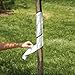 A.M. Leonard Vinyl Spiral Tree Guard, 18 Inches Long (Set of 5)